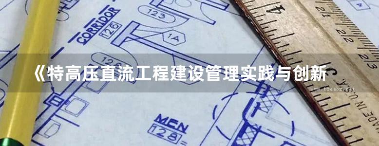 《特高压直流工程建设管理实践与创新 工程造价与财务标准化管理》国家电网公司直流建设分公司